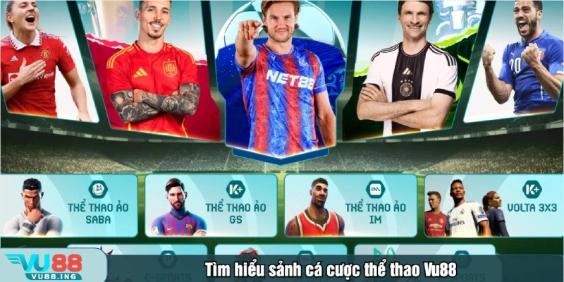 Thể thao Vu88 là một trong những sảnh cá cược uy tín